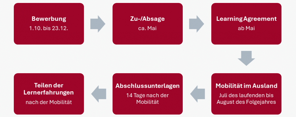 Grafik zum Ablauf der Teilnahme (Erklärung siehe Fließtext)